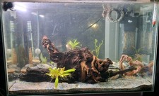 Superfish 65 Home Aquarium
