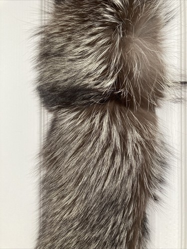 Silver fox fur collar scarf - silver,