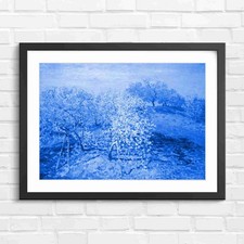 Blooming orchard trees - blooming,