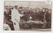 STRATFORD UPON AVON Pig Roast
