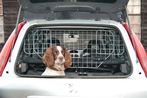 Dog guard screen car boot - dog,