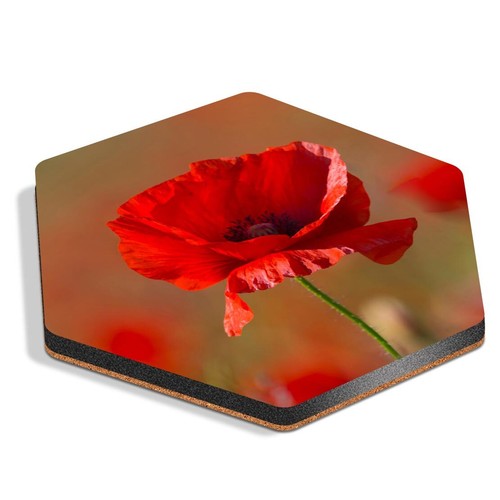 Hexagon mdf coaster - hexagon, poppy