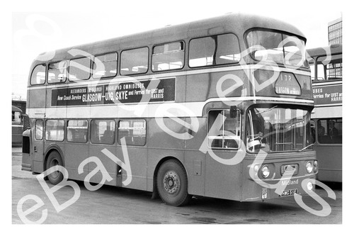 Bus photograph alexander - photograph,