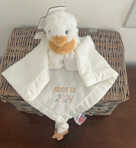 Primark duck duckling born - duckling, in
