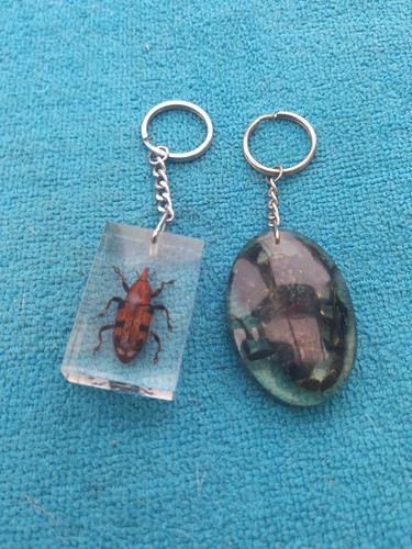 Bugs resin key rings - 2,