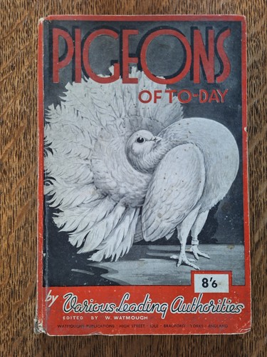 Pigeons day hardback - pigeons, to-day