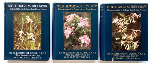 Wild flowers they grow - as,