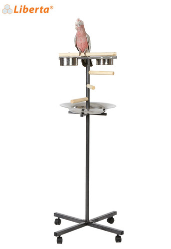 Liberta little parrot - t,