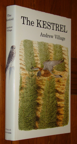 The kestrel andrew village - kestrel,