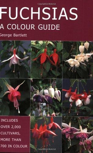 Fuchsias colour guide - fuchsias:,