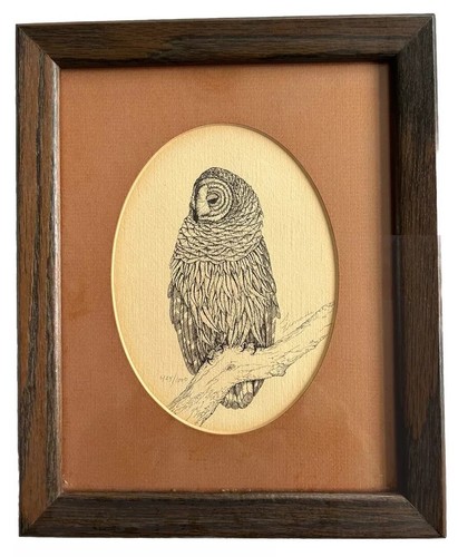 Owl art etching - art, print