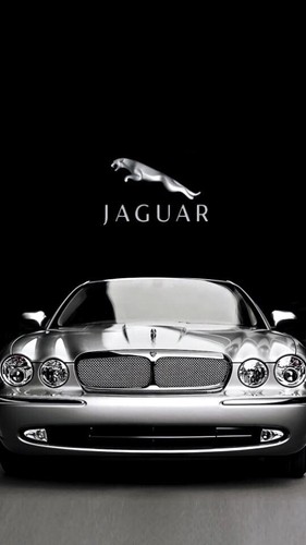 Jaguar radio pin code - ,