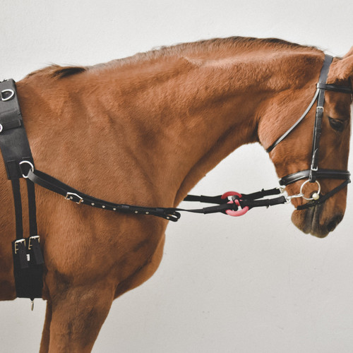 Waldhausen nylon side - waldhausen, reins