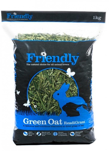 Friendly green oat readigrass - friendly,