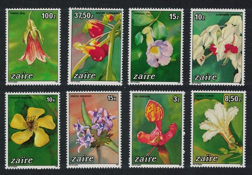 Zaire flowers orchids 1984 - zaire,