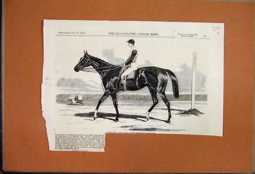 Original old antique print - old,