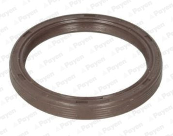 Payen na5310 shaft seal - na5310,