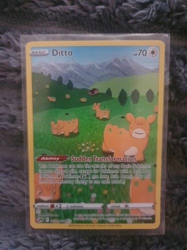 Ditto gg22 gg70 - ditto, gg22/gg70