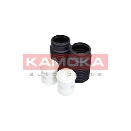 Kamoka 2019011 dust - dust, cover