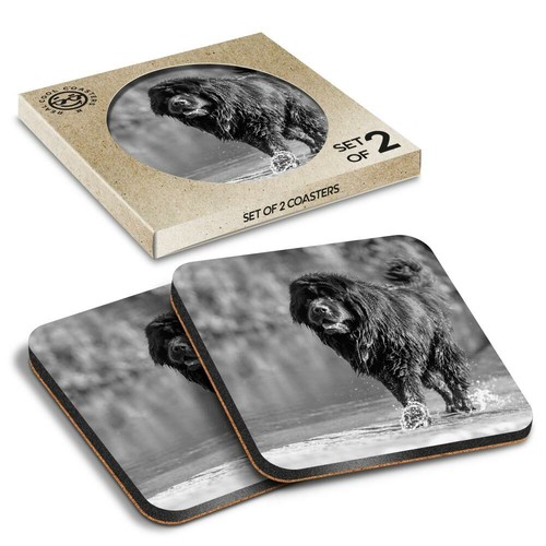 Boxed square coasters bw - x,