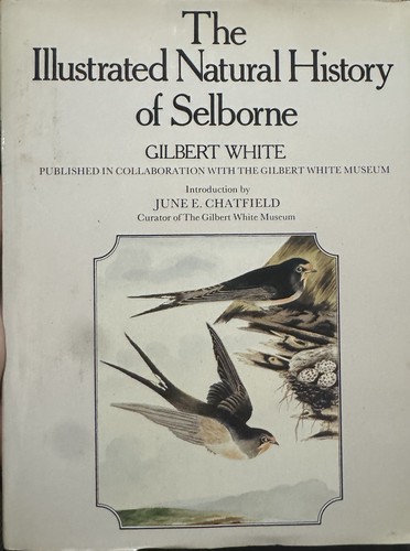 The illustrated natural - illustrated,