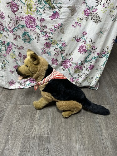 Large german shepherd - german, soft