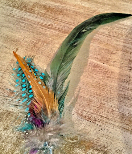 Feather for hat band - ,