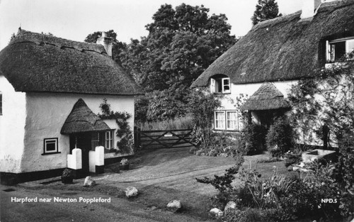 Postcard harpford near - postcard,