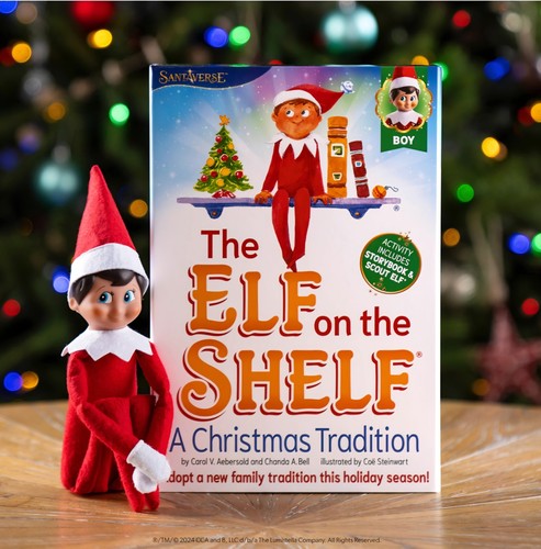 The elf shelf - elf,