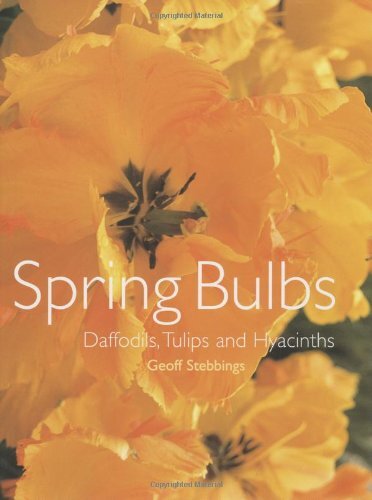 Spring bulbs daffodils - spring,