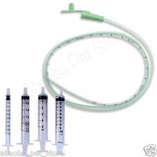 Sterile tube feeding - feeding, &