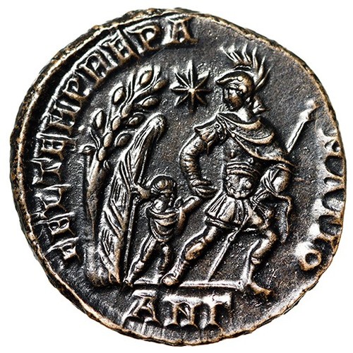 Constans centenionalis - constans,