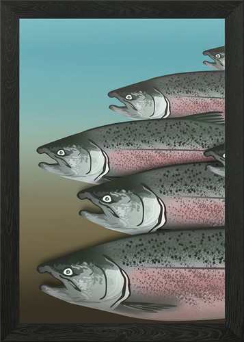 Alaskan salmon part1 right - salmon,