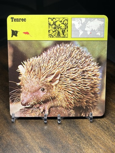 Tenrec 1976 editions - tenrec,, recontre