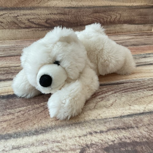 Aurora world lying - lying, polar