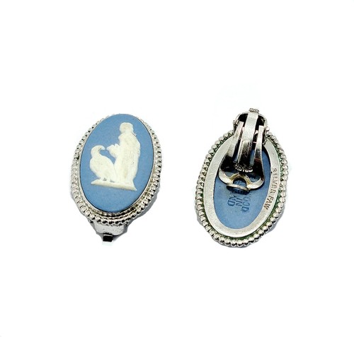 Silver wedgwood blue - silver,