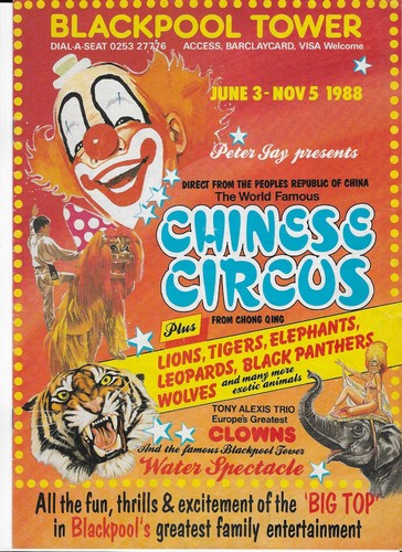 Blackpool tower circus - tower,