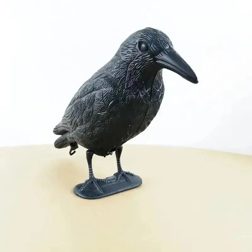 Crow raven bird simulation - crow,