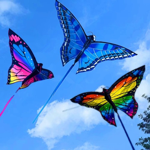 Beautiful butterfly colorful - beautiful,
