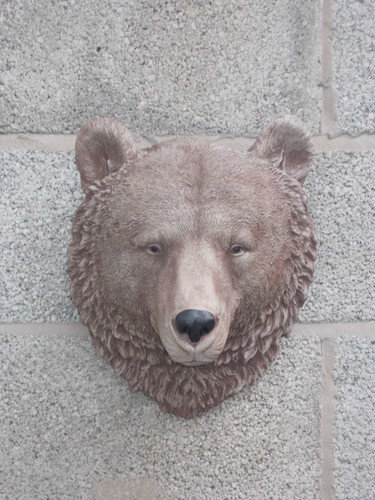 Bears head wall plaque