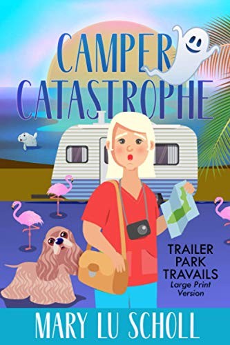 Camper catastrophe trailer - camper,