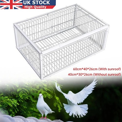 Pigeon trap cage - pigeon,