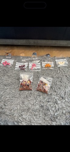 Carp session pack with a - ,