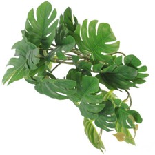 jungle climber vines Sucker