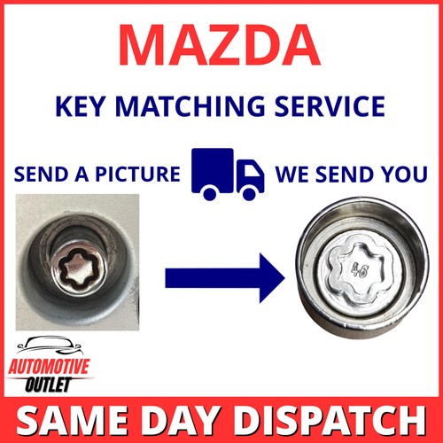 Security master locking wheel - master,