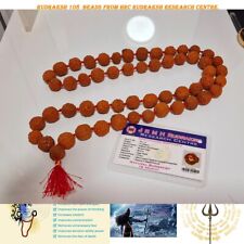 15mm Rudraksha 108 Beads Mala Necklace / Bracelet . 100% Natural / Original