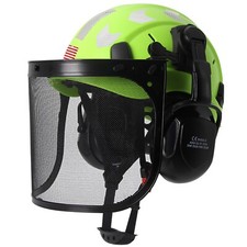 Forestry Safety Helmet