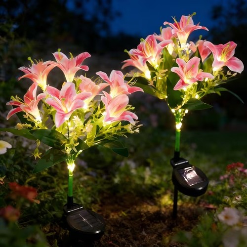 Pack solar lily flower - pack,