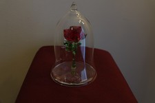 Swarovski Disney Enchanted