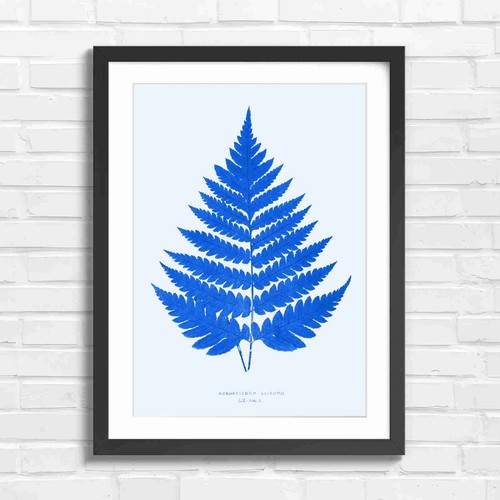 Botanical fern leaf art - fern,